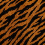 Bear Claws Mules - tiger print