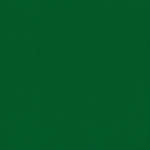 Bazo Mugshot Bracelet - Green